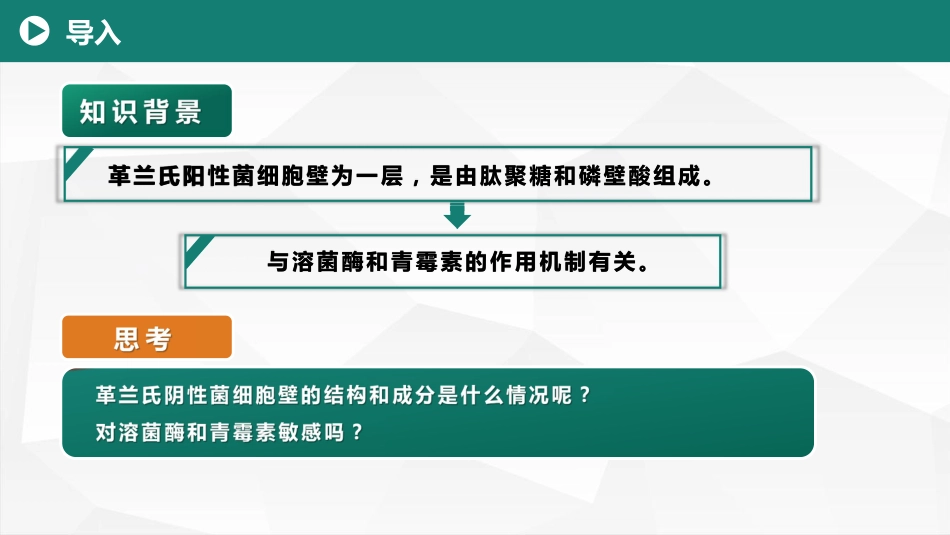 (2)--1.2革兰氏阴性细菌细胞壁的结构和成分_第2页