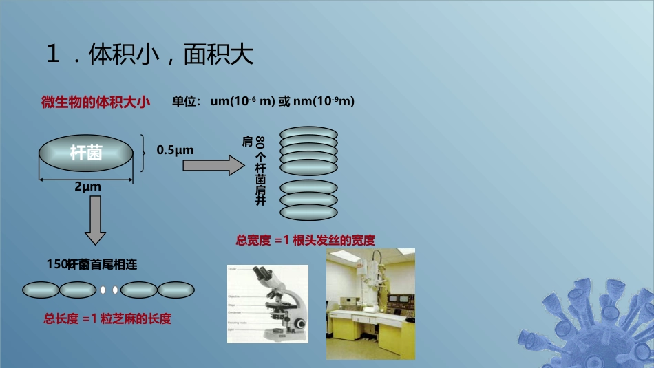 (2)--1.2微生物的五大共性_第3页