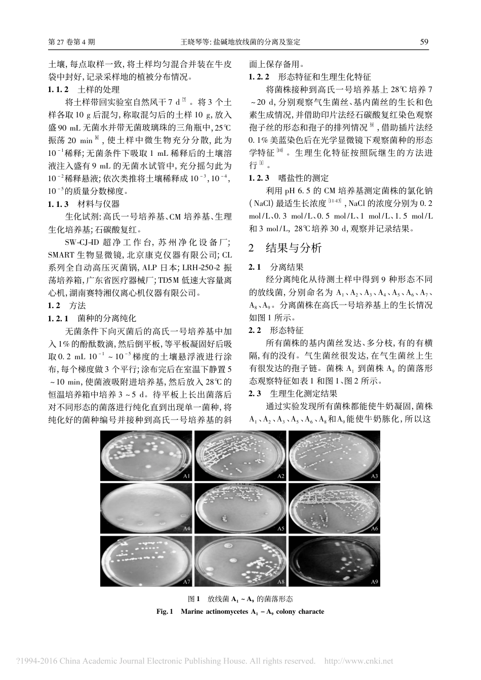 (2.27)--盐碱地放线菌的分离及鉴定_第2页