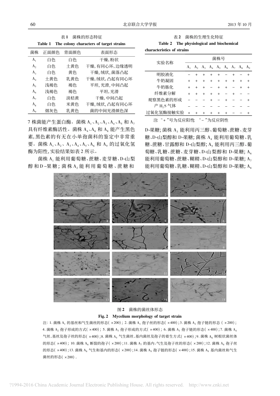 (2.27)--盐碱地放线菌的分离及鉴定_第3页