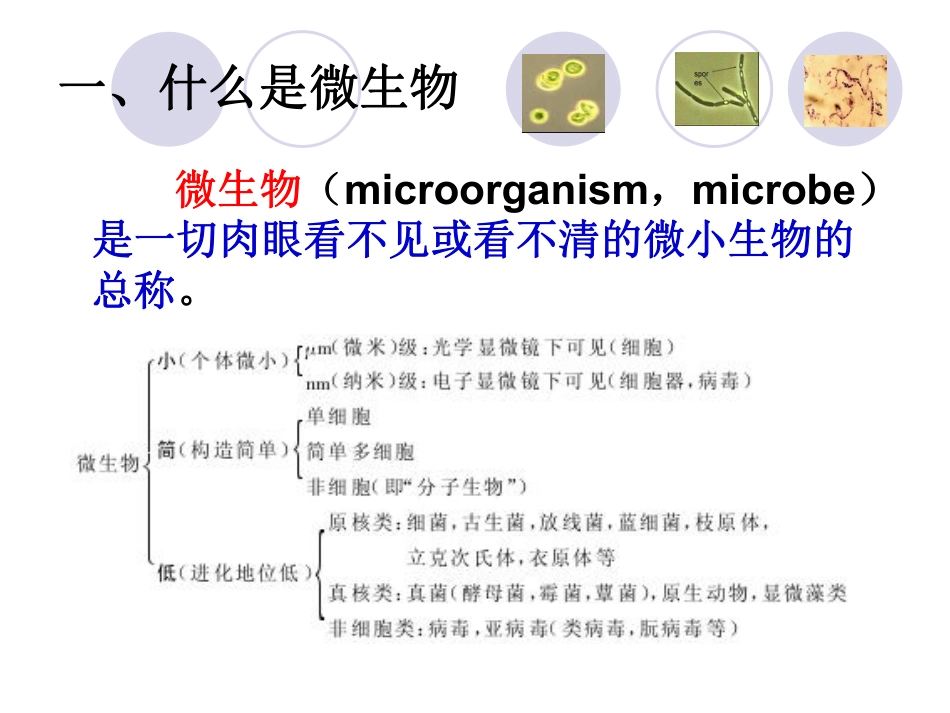 (3)--0 绪论微生物学微生物学_第3页