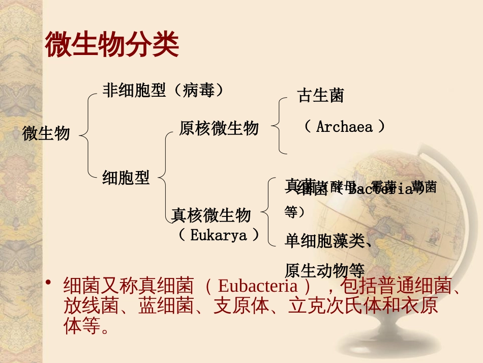 (3)--1.1原核微生物概述_第2页