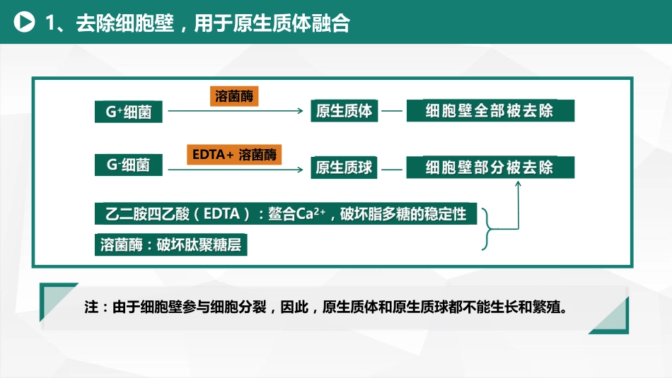 (3)--1.3 细菌细胞壁结构和成分的实践指导作用_第2页