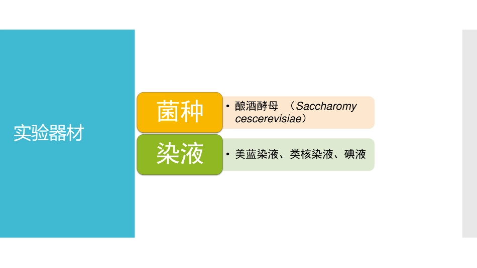 (3.24)--[11.2]啤酒生产中酵母菌的质量鉴别 实验步骤_第2页