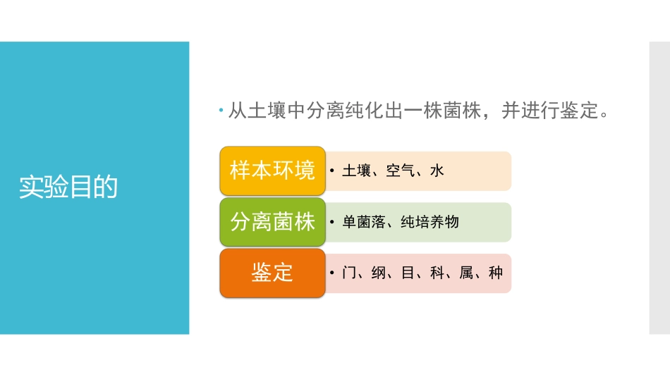 (3.25)--[12.2]土壤中微生物的分离纯化与鉴定 设计思路1_第3页