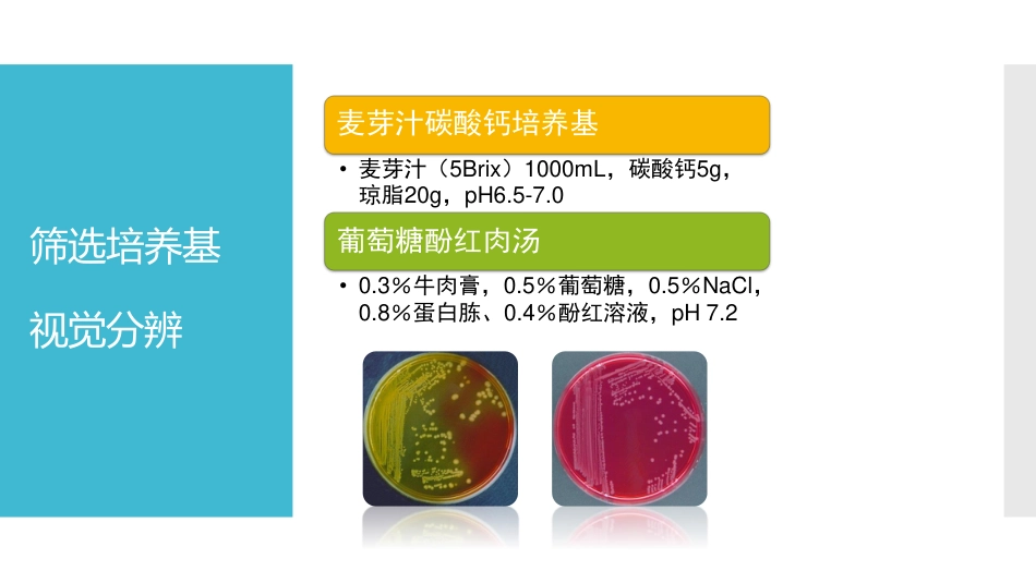 (3.26)--[12.3]土壤中微生物的分离纯化与鉴定 设计思路2_第3页