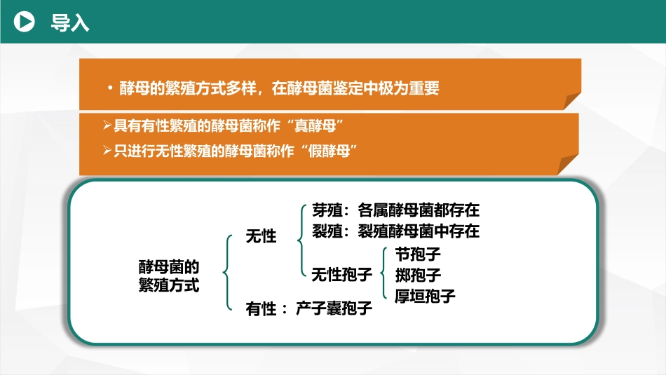 (5)--2.1 酵母菌的繁殖方式和生活史(1) 美化_第2页