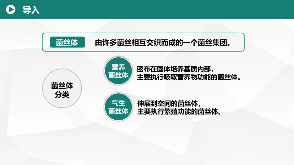 (6)--2.2霉菌营养菌丝体的特化形态(1) 美化_第1页