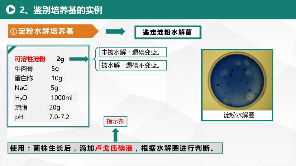 (13)--4.3鉴别菌种的培养基--鉴别培养基_第3页