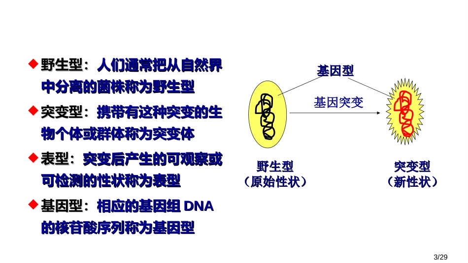 (22)--6.4基因突变微生物学_第3页