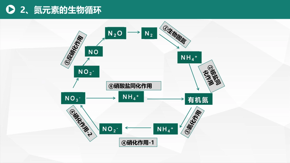 (22)--8.4微生物与氮素循环_第3页