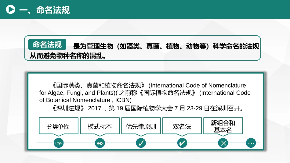 (24)--10.1命名法规及有关学名基本知识_美化_第1页