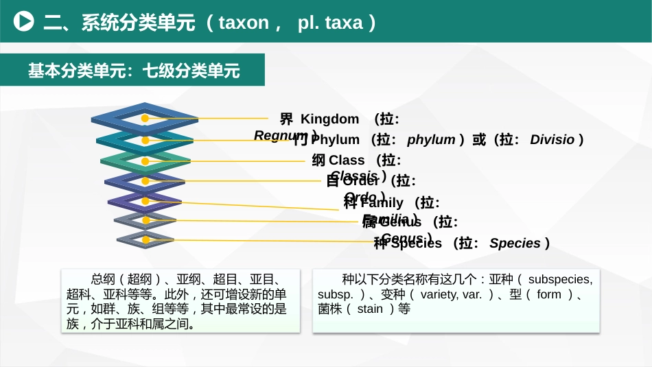 (24)--10.1命名法规及有关学名基本知识_美化_第2页