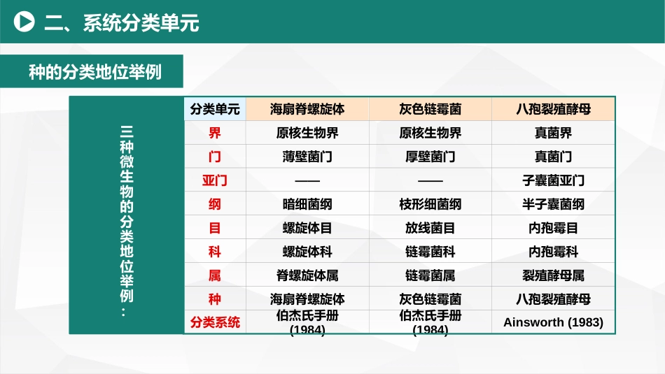 (24)--10.1命名法规及有关学名基本知识_美化_第3页