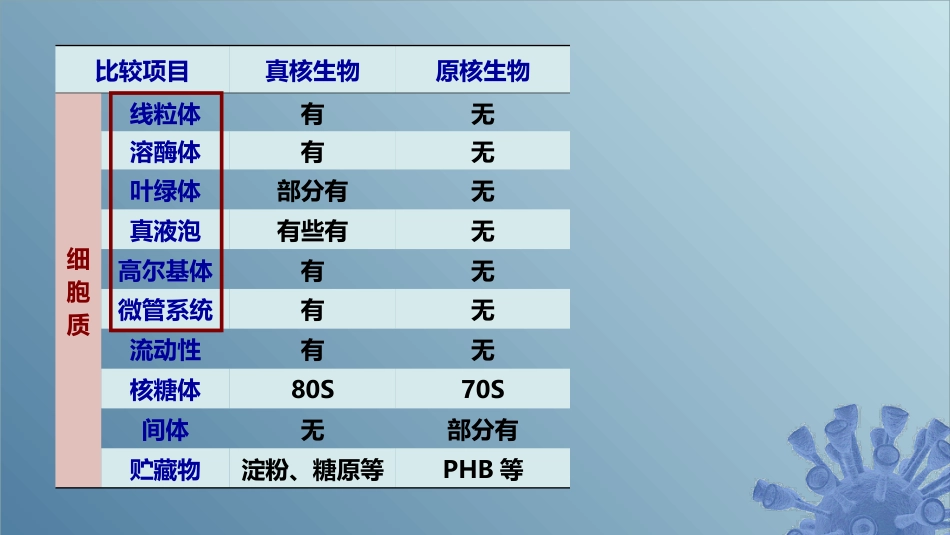 (27)--3.1.1 什么是真核微生物_第3页