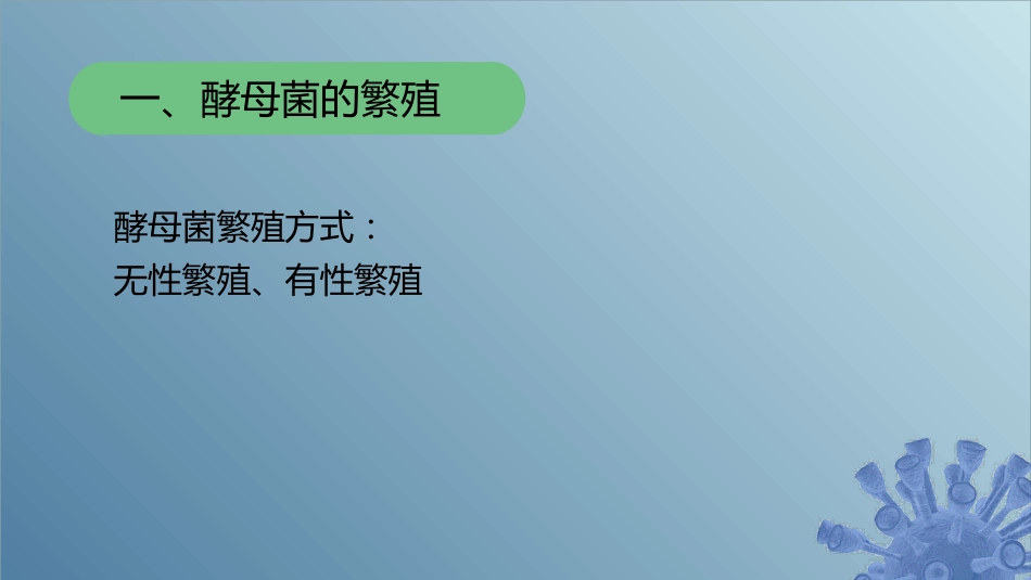 (31)--3.2.3 酵母菌繁殖和生活史_第1页