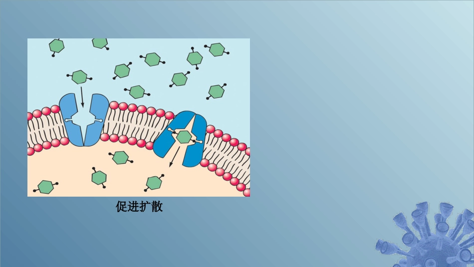 (41)--5.3.2 促进扩散微生物学_第2页