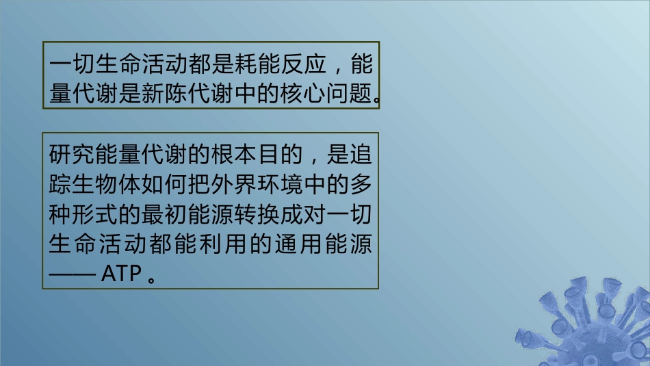 (47)--6.1.1 底物脱氢微生物学_第1页