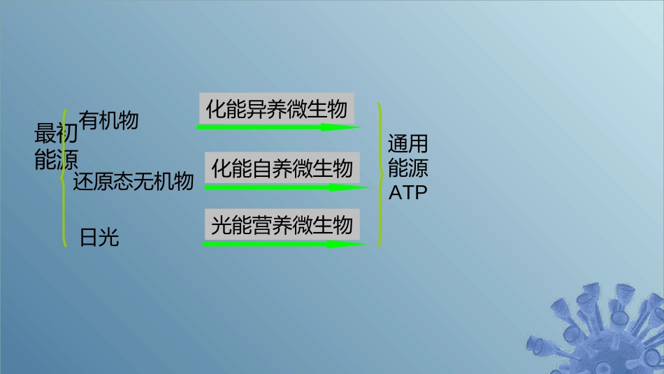 (47)--6.1.1 底物脱氢微生物学_第2页