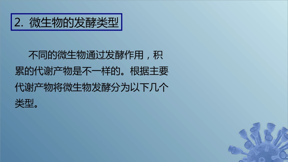 (49)--6.1.3 发酵微生物学_第3页