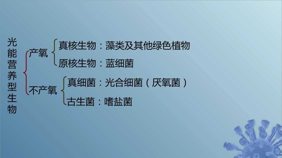 (51)--6.1.5 光能自养微生物产能_第1页