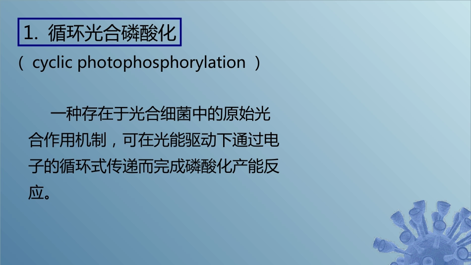 (51)--6.1.5 光能自养微生物产能_第2页