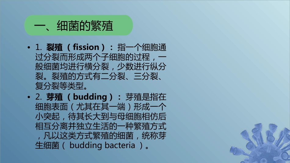 (60)--2.1.10 细菌的繁殖与群体形态_第1页