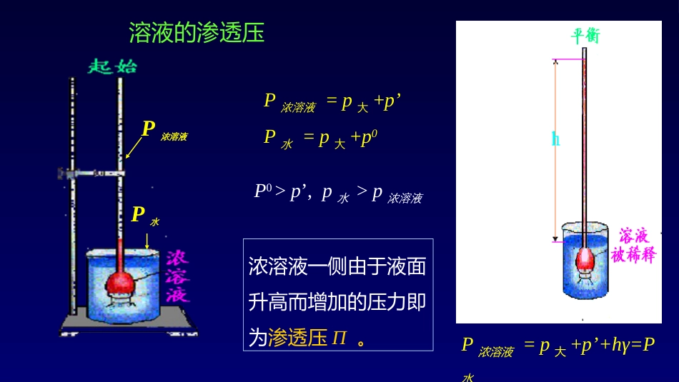 (5)--1.3 溶液的依数性-渗透压_第3页