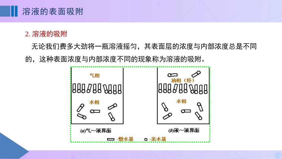 (91)--12-4溶液的表面吸附_第3页