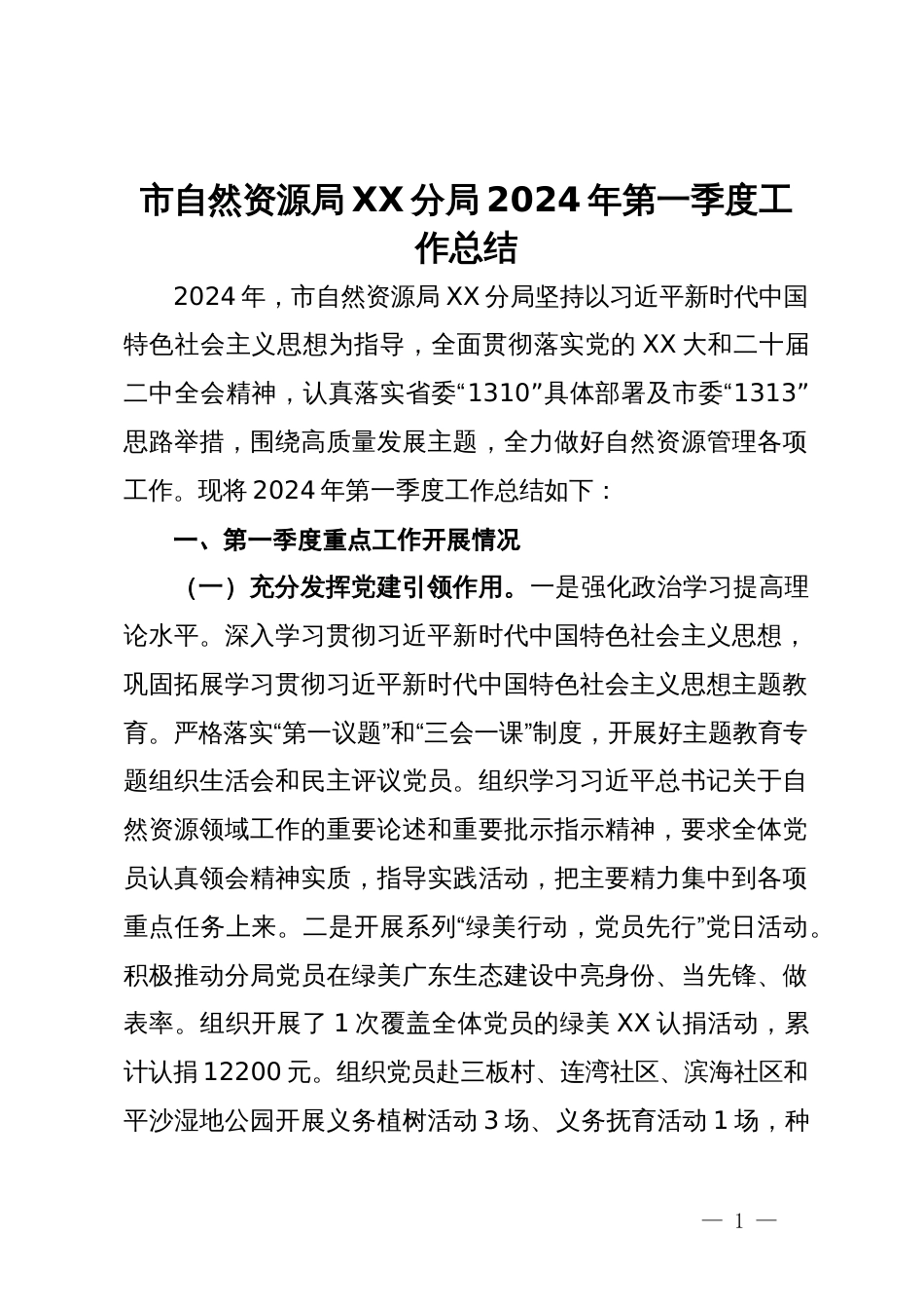 市自然资源局XX分局2024年第一季度工作总结_第1页