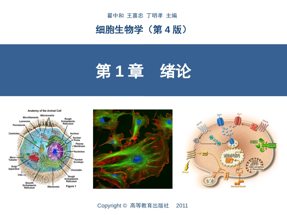 (8.2)--第1章__绪论细胞生物学_第2页