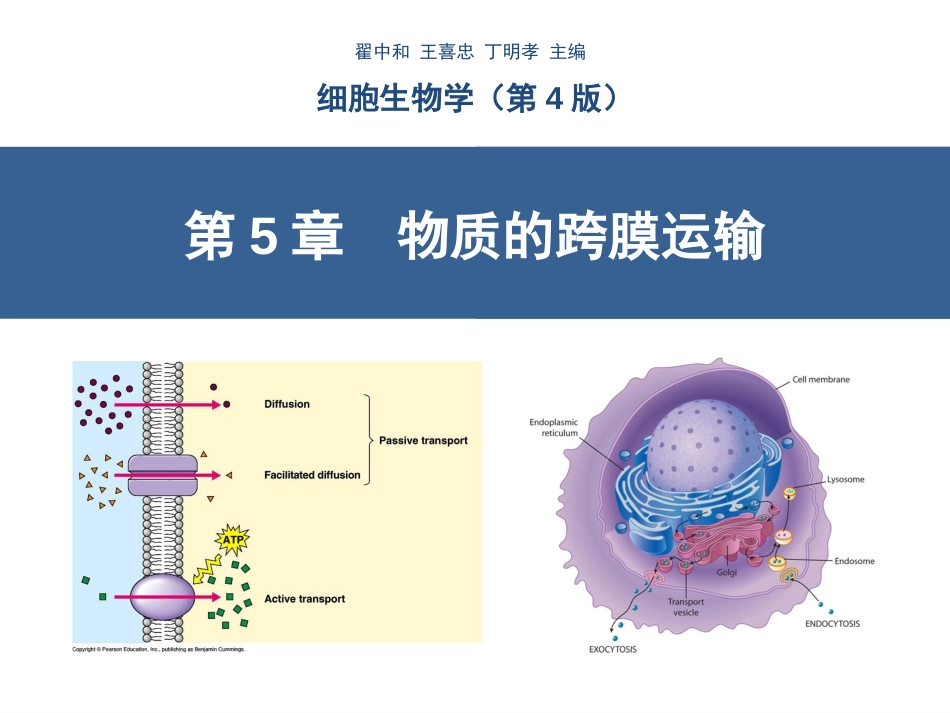 (8.6)--第5章物质的跨膜运输_第1页