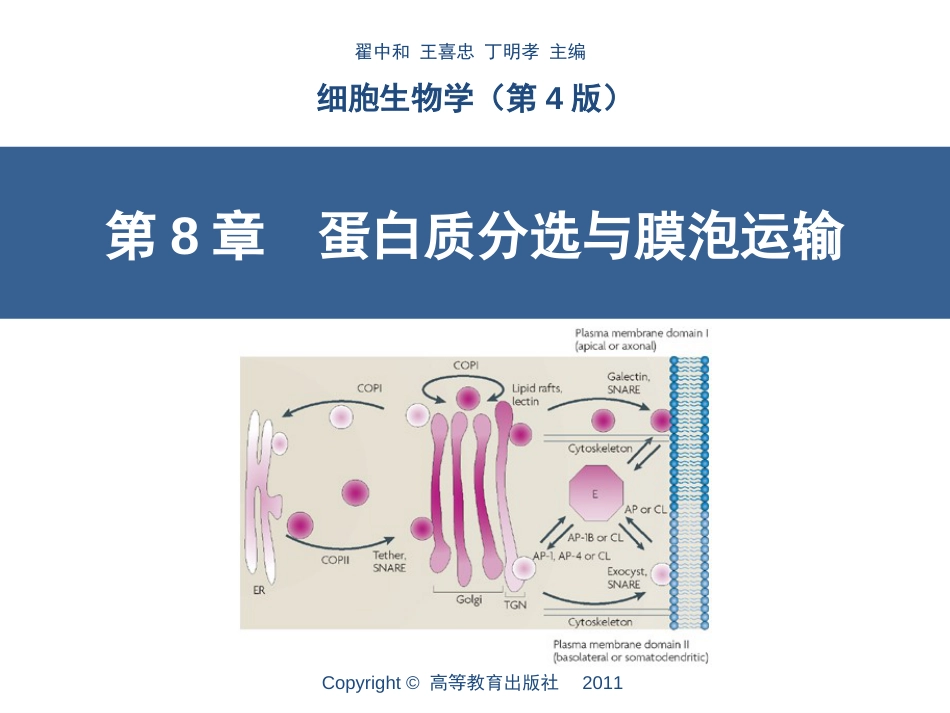 (8.9)--第8章__蛋白质分选与膜泡运输_第1页