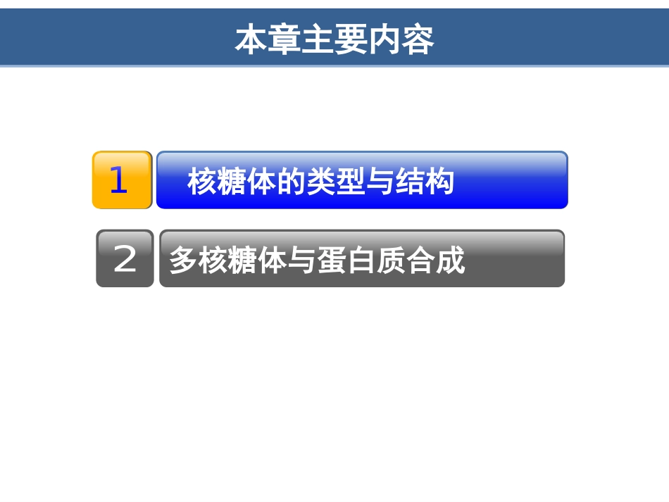 (8.13)--第12章核糖体细胞生物学_第2页