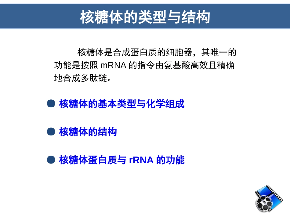 (8.13)--第12章核糖体细胞生物学_第3页