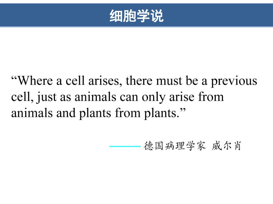 (8.14)--第13章细胞周期与细胞分裂_第1页