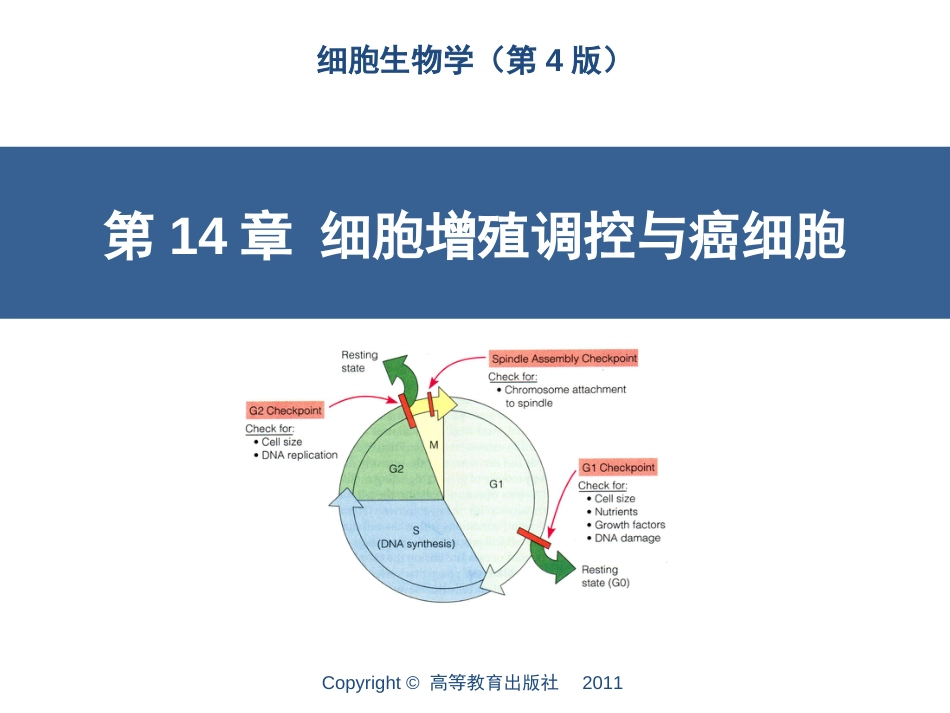 (8.15)--第14章细胞增殖调控与癌细胞_第1页