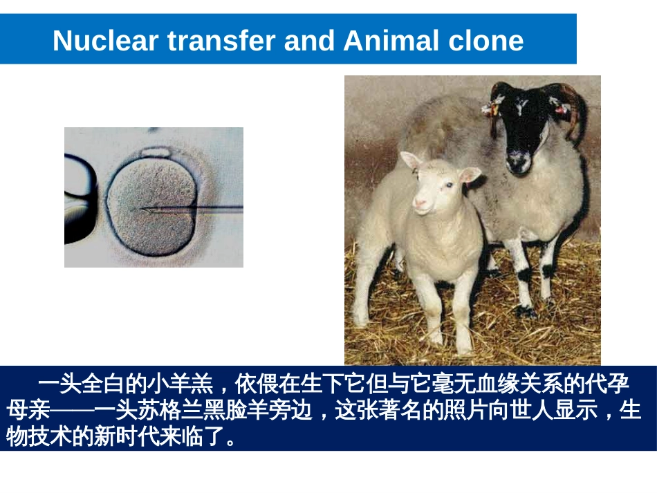 (8.20)--细胞生物学简介_第1页