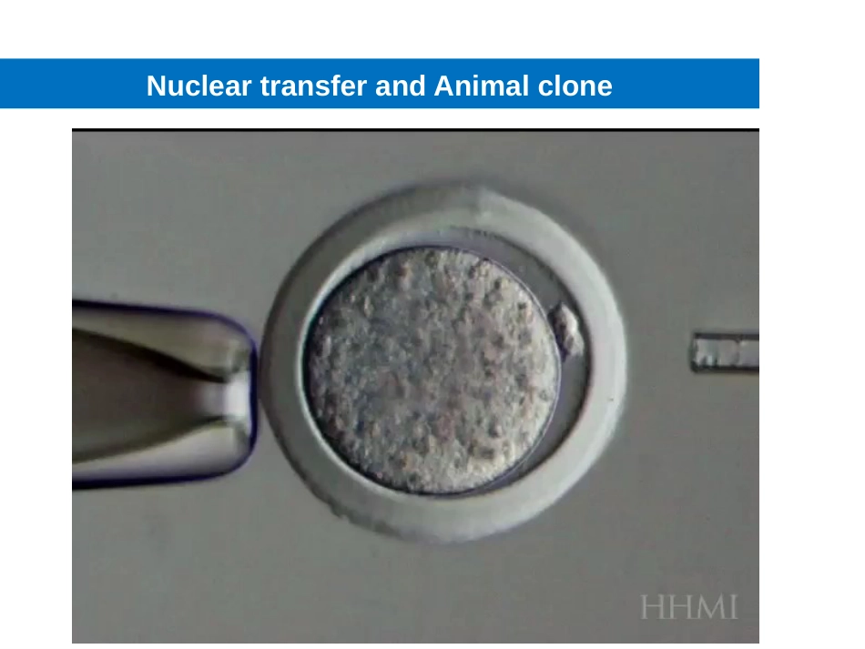 (8.20)--细胞生物学简介_第2页