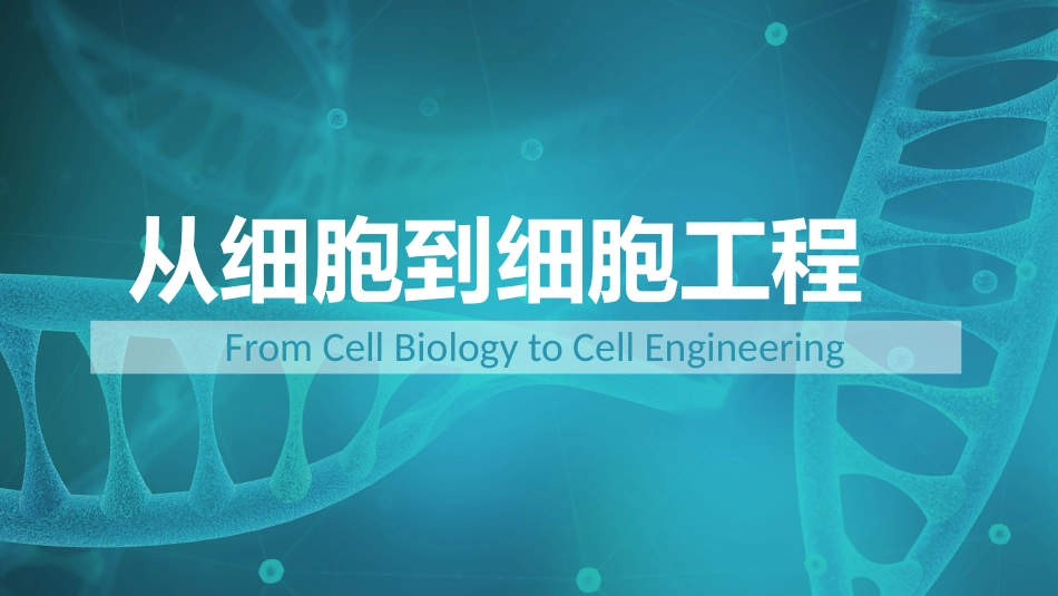 (20)--从细胞到细胞工程_第1页