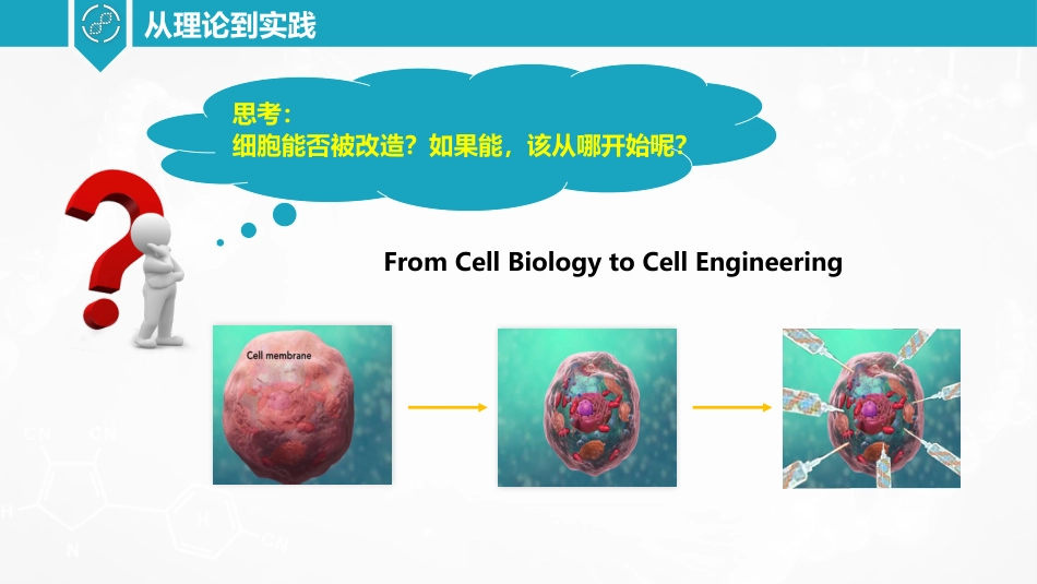 (20)--从细胞到细胞工程_第2页