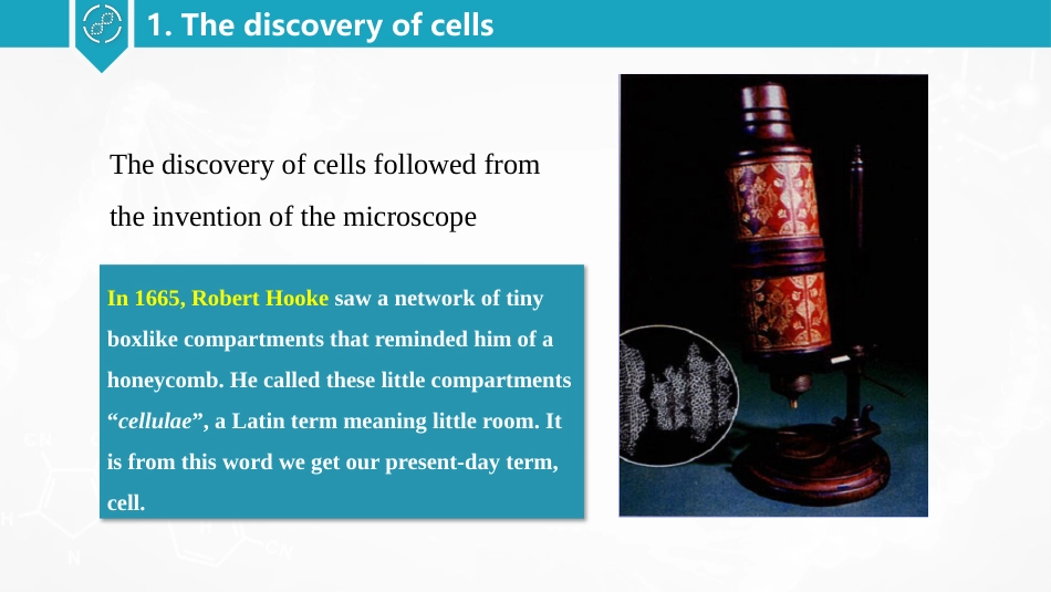 (22)--基础细胞概述细胞生物学_第3页