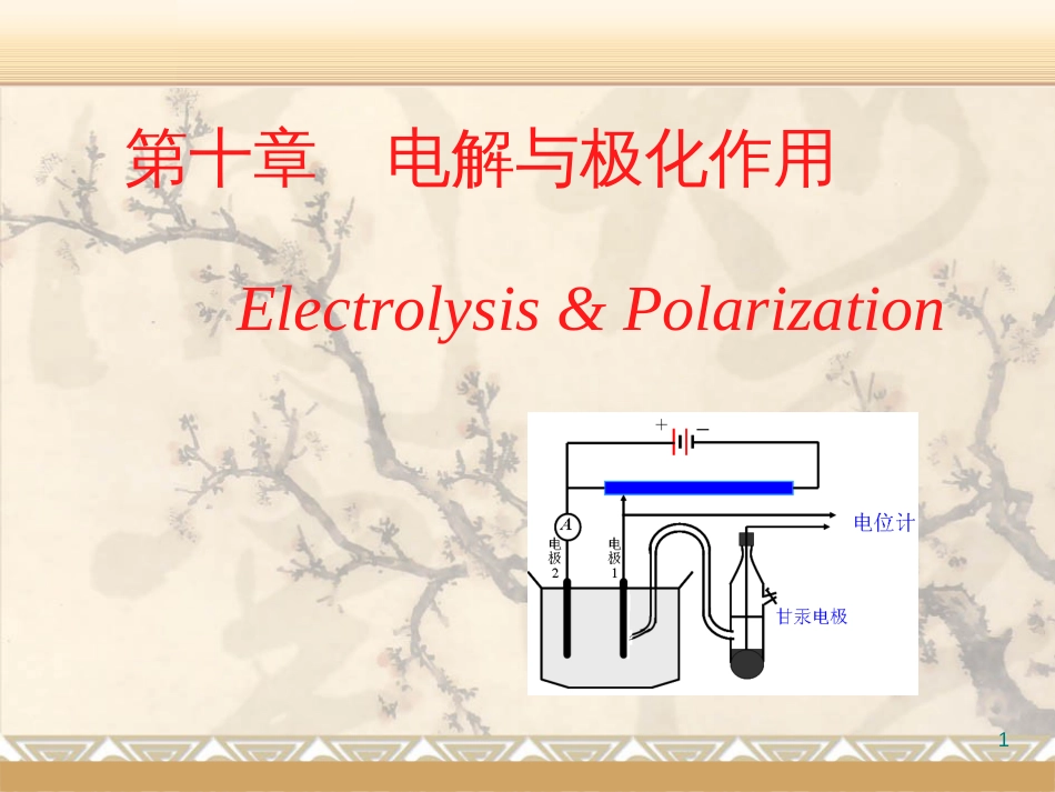 (26)--第10章 电极的极化作用_第1页