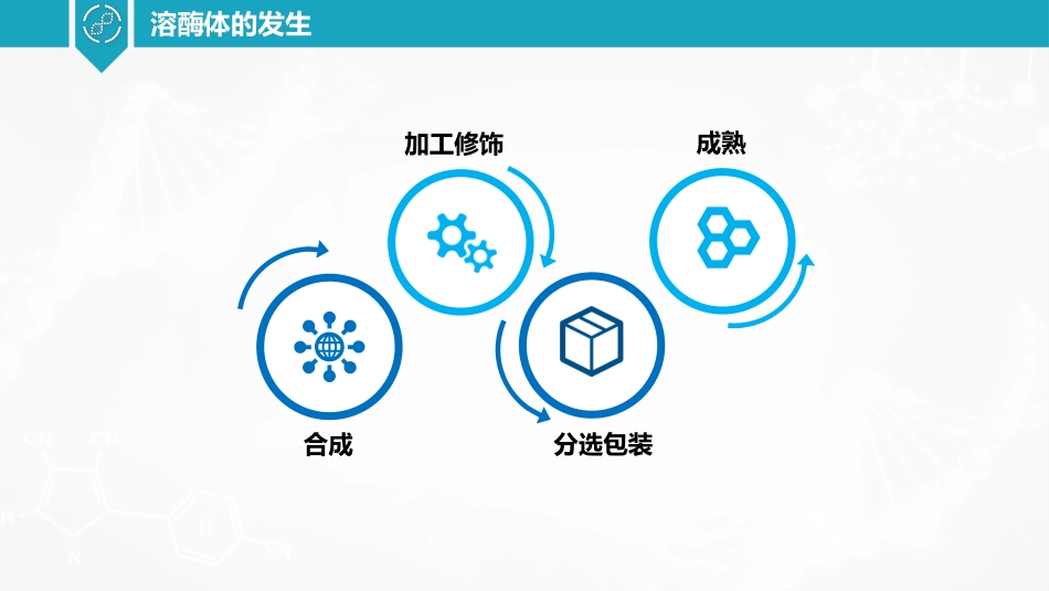 (27)--溶酶体的发生细胞生物学_第2页