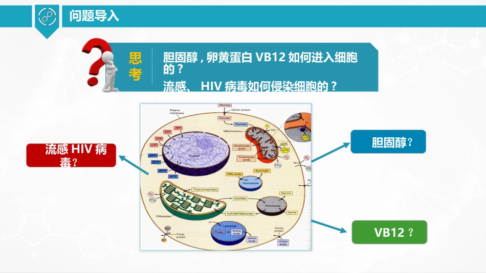 (37)--胞吞和胞吐细胞生物学_第2页