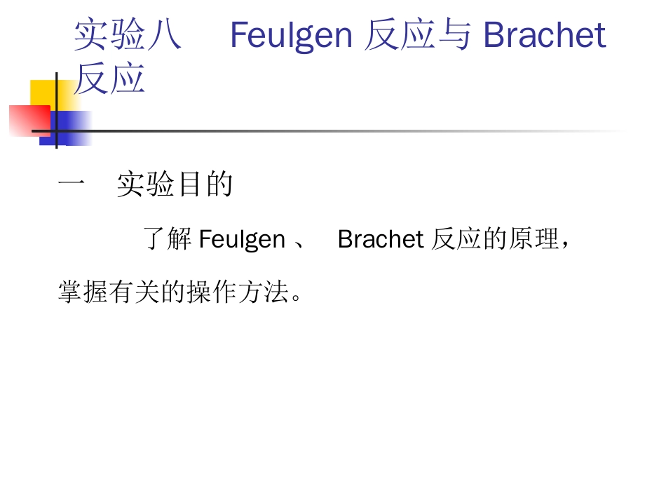 实验九  Fulgen反应与Brachet反应_第1页