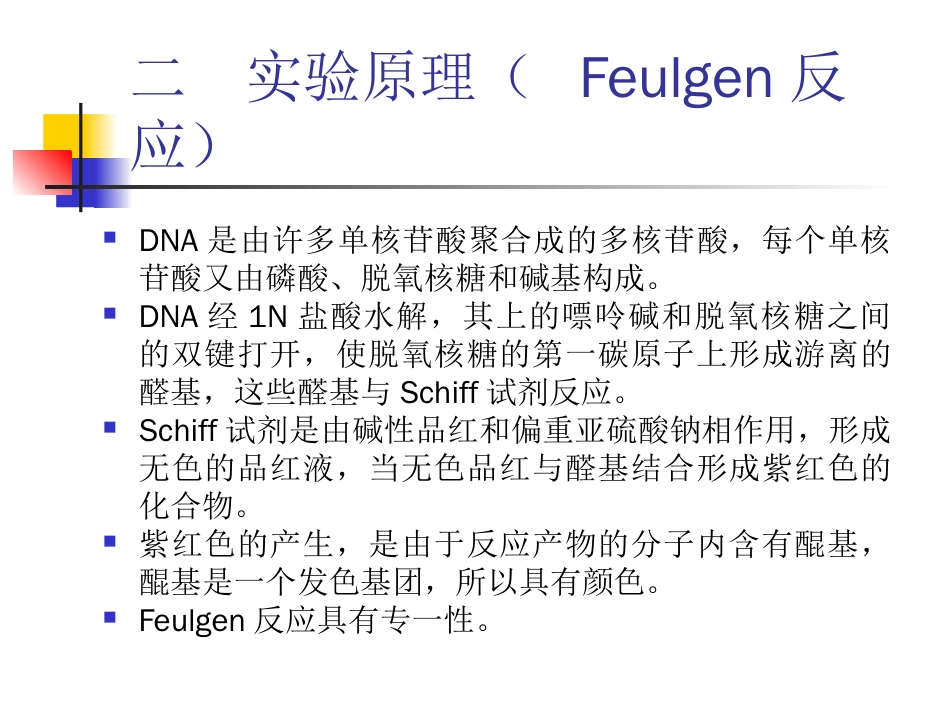 实验九  Fulgen反应与Brachet反应_第2页