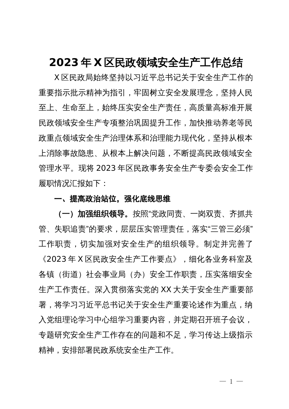 2023年X区民政领域安全生产工作总结_第1页