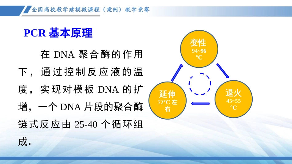 (1.4)--实时PCR定量分析_第3页