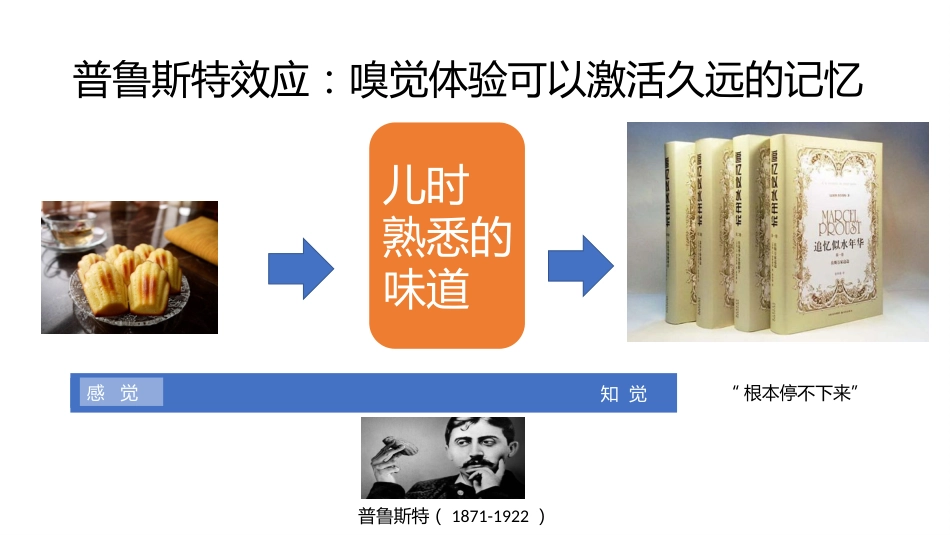 (1.5)--4.1-感觉知觉消费者行为学_第2页